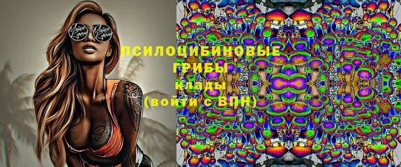 Галлюциногенные грибы MAGIC MUSHROOMS  Красноярск 